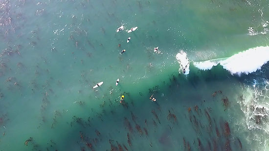 Overhead of Surfers as Wave Passes